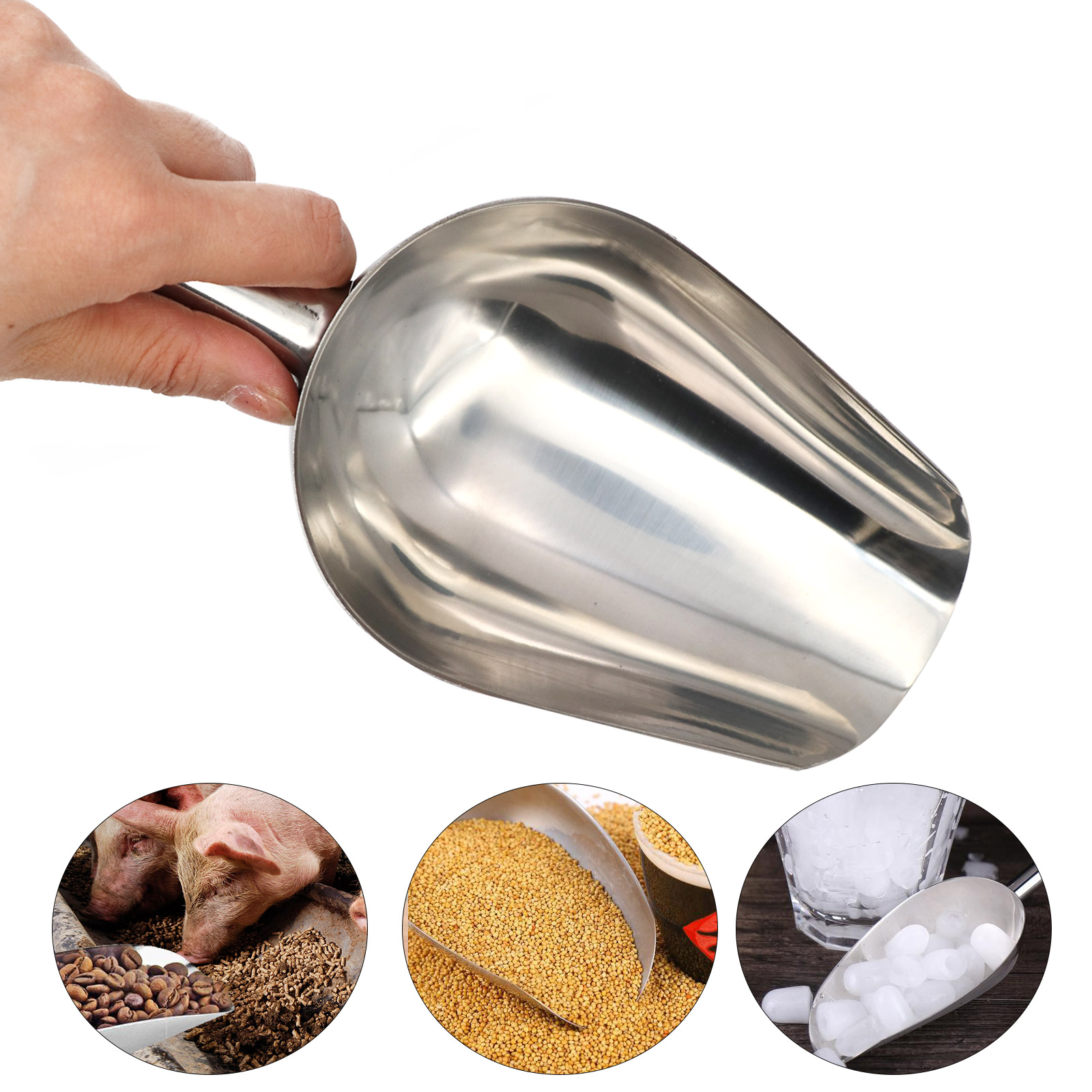 Pet Food Shovel Stainless Stee - Baby Food Cat review and price
