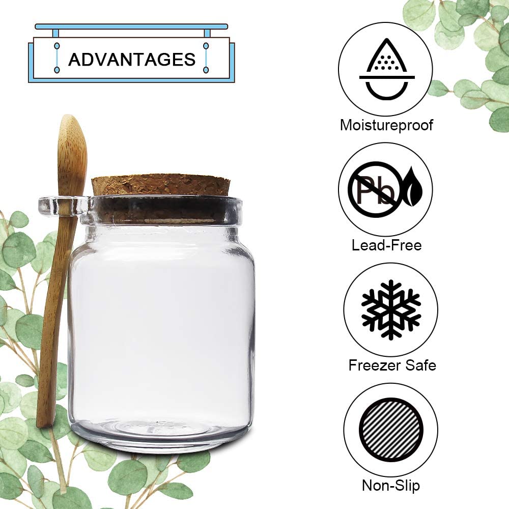 10oz Small Glass Storage Jars  - Baby Food Yogurt review and price